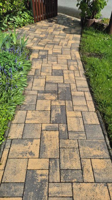 Gartenweg in Gera-Hundhaupten nach der Reinigung – Farbe der Pflastersteine deutlich sichtbar